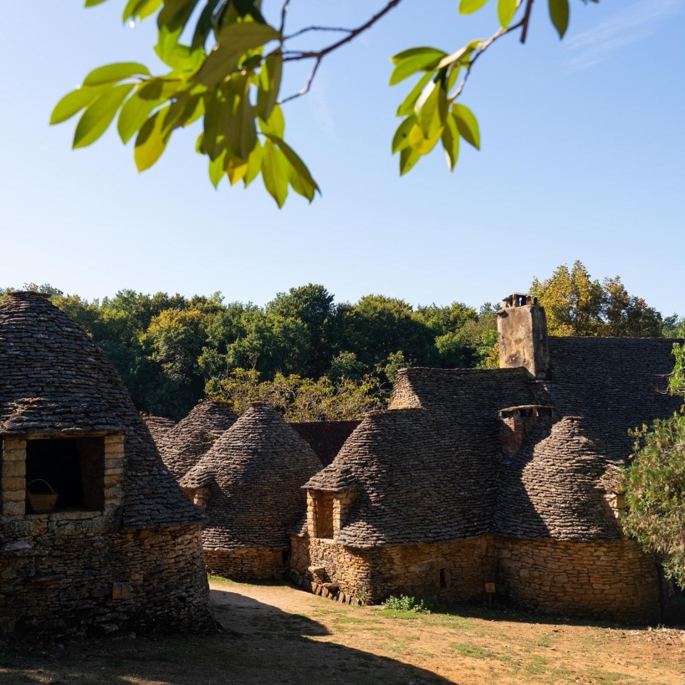 Maison En Perigord Proche Beynac Et Sarlat Cenac-et-Saint-Julien Luaran gambar